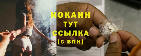 метадон Богданович