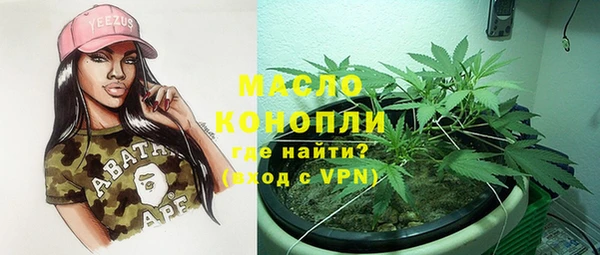 метадон Богданович