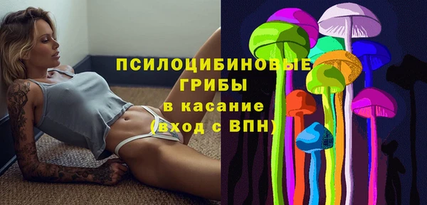 твердый Богородицк
