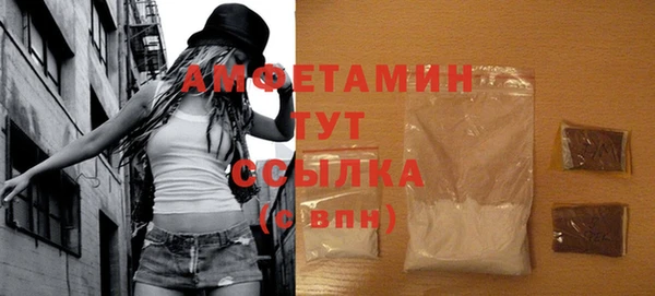 метадон Богданович