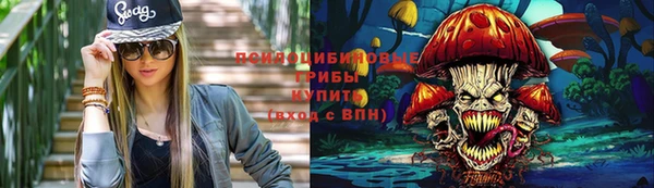 твердый Богородицк