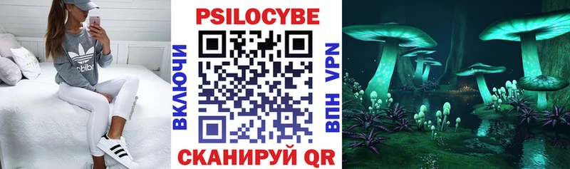 МЕГА ССЫЛКА Киреевск Псилоцибиновые грибы Magic Shrooms